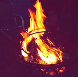 Meet your Posher, Marley